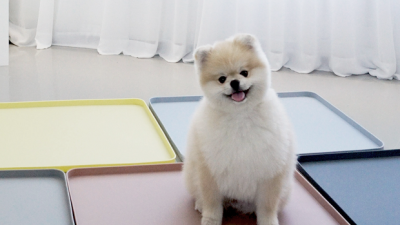 내 인생템! ✨ 득템찬스! 실리콘 대형 패드 후기
