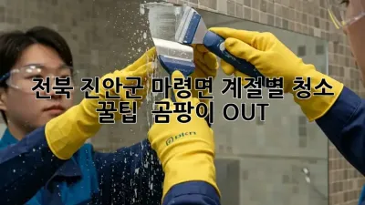 전북 진안군 마령면🏡 계절별 청소 꿀팁! ✨ 곰팡이 OUT!